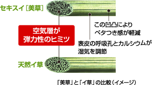 ��C�w���e�͐��̃q�~�c